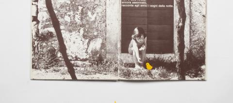 Libri Per Bambini Con Il Culto Dell Immagine Topipittori